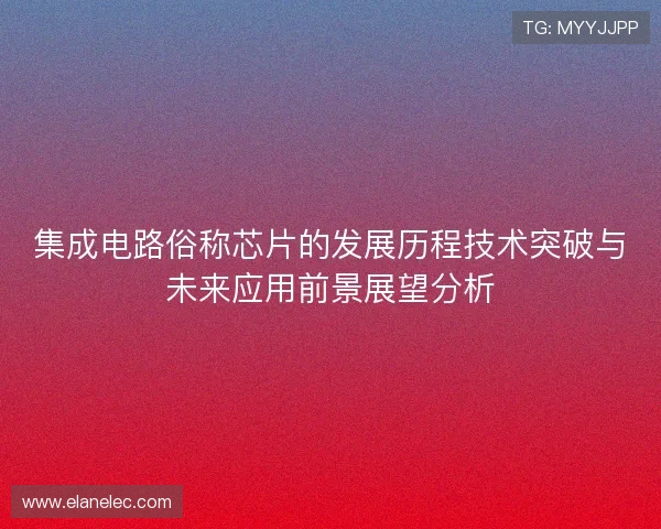 集成电路俗称芯片的发展历程技术突破与未来应用前景展望分析